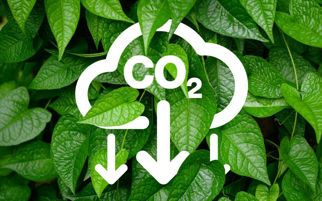 Koldioxidreducerande åtgärder